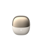 Bluetooth headphones for heart rate monitoring details Picture
